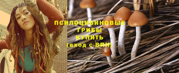 герыч Бугульма
